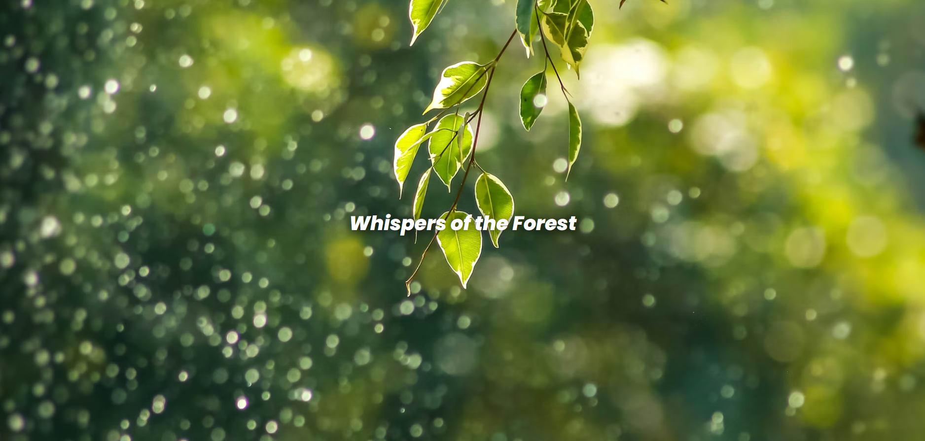 Parallax Effect Website
